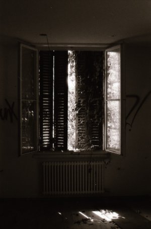 Ruines 5